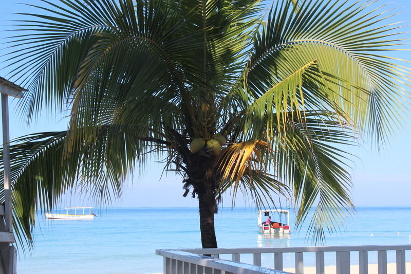 Zanzi Beach Resort Negril Exterior photo